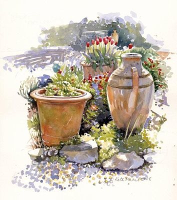 Kate Mears - Painter And Illustrator - Urn And Pots Unframed Prints 30x39cm